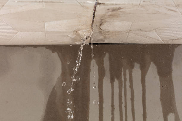 Professional Flood Damage Cleanup technician working in Blissfield, OH